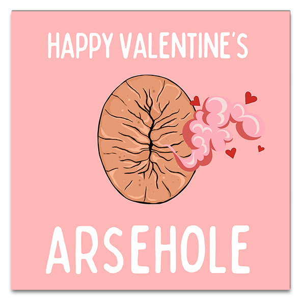 Happy Valentine's, Arsehole! Greetings Card