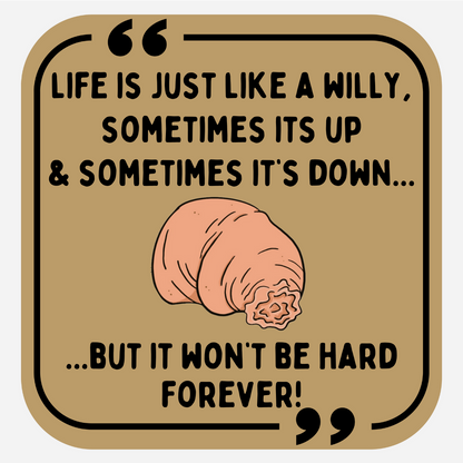 Life Is Just Like A Little Willy...